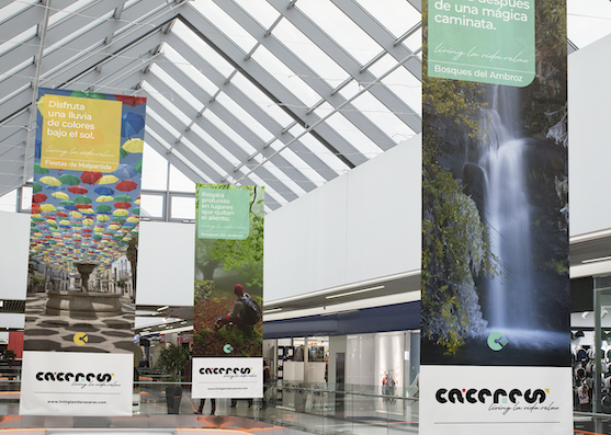 cropped-cropped-cropped-cropped-outdoor_tribanner-1.png